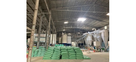 Nhà máy gạo Louis Rice