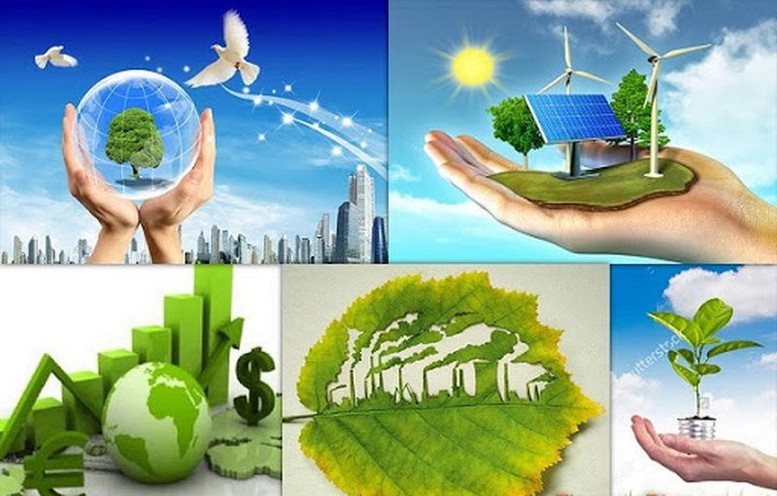 Đề xuất sửa Luật Bảo vệ môi trường- Ảnh 1.