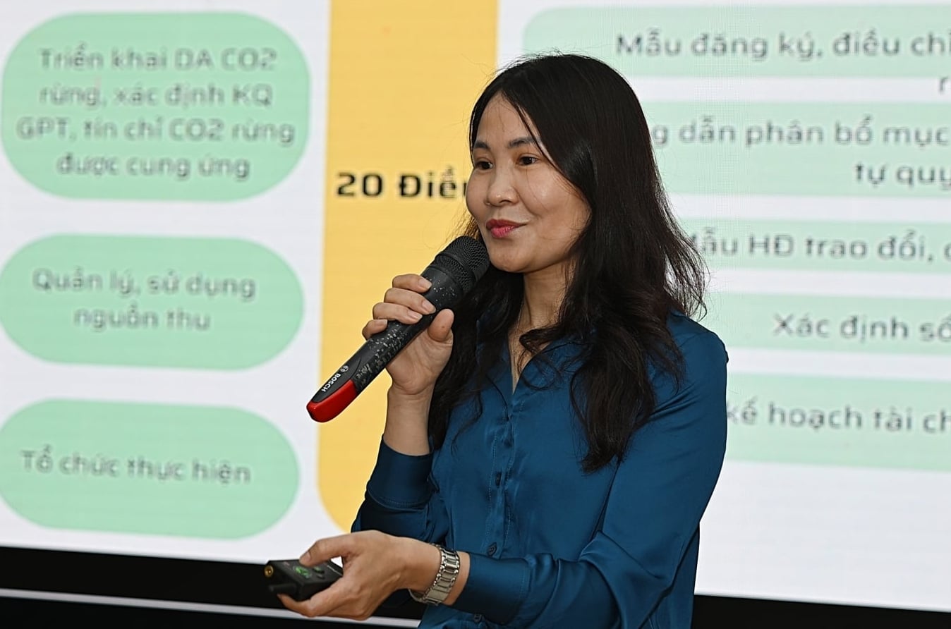 Bà Nghiêm Phương Thuý, Phòng Khoa học Công nghệ và Hợp tác quốc tế (Cục Lâm nghiệp và Kiểm lâm). Ảnh: Bảo Thắng.
